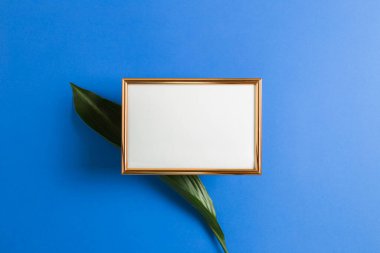 Yıldönümü mesaj alanı. Mavi arka planda yeşil yapraklı boş fotoğraf çerçevesi. Üst görünüm, boşluk kopyala