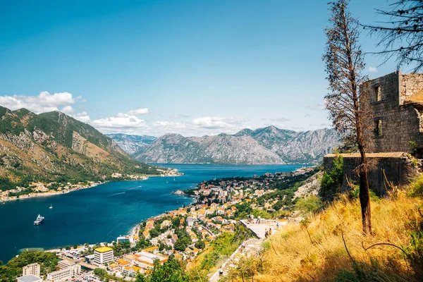 Bahía Kotor Ciudad Vieja Montañas Vista Panorámica Montenegro — Foto de Stock