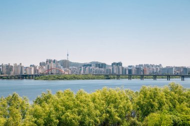 Modern apartmanlar ve Seul, Kore 'deki Han Nehri Parkı.