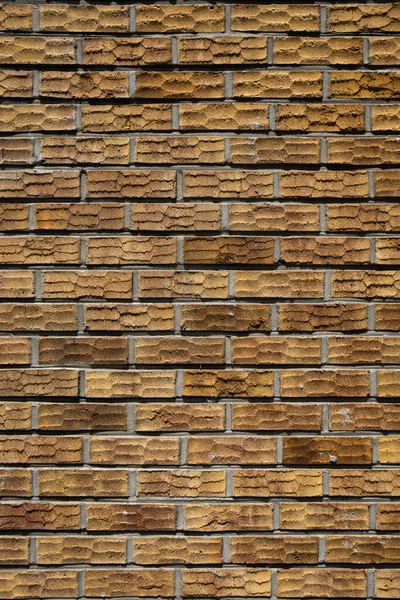 Brun Mur Briques Texture Fond — Photo