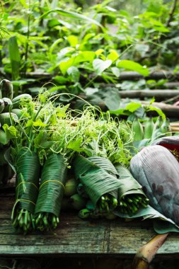 Ormandan gelen taze sebze