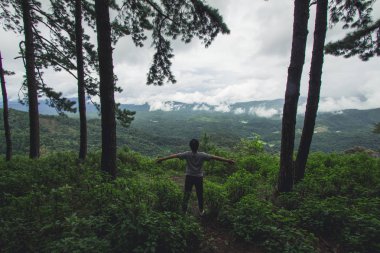 Doğa turizm orman yağmurlu bir gün
