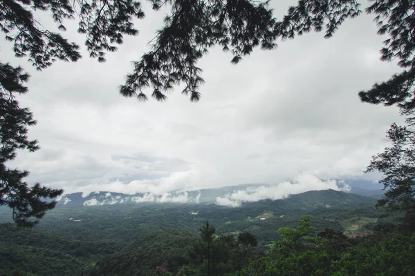 Natureza turismo floresta Dia chuvoso — Fotografia de Stock