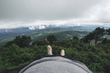 Doğa turizm orman yağmurlu bir gün