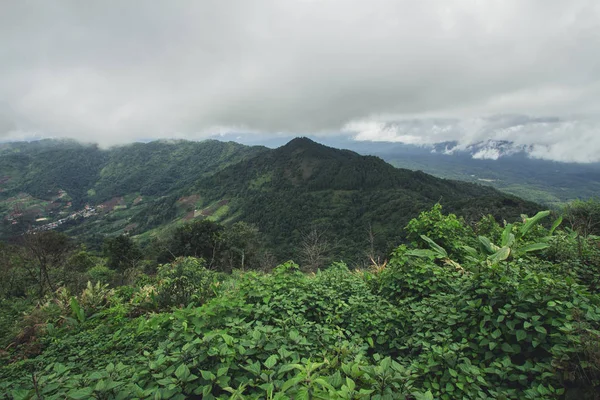 Bosque de turismo natural Día lluvioso — Foto de Stock