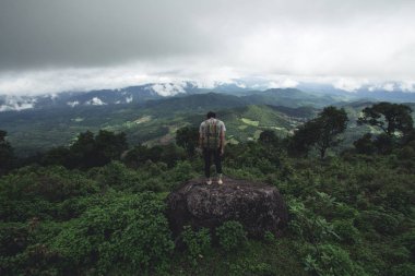 Doğa turizm orman yağmurlu bir gün