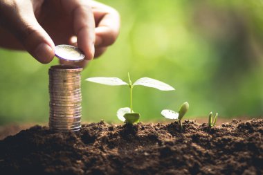 Meyve ağaçları büyüme tutku Ekim ve sulama doğa ışık ve arka plan el