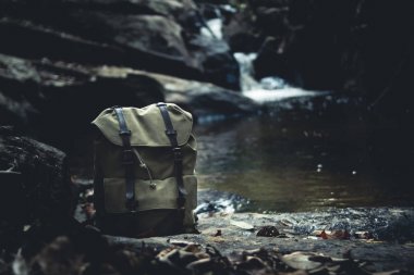 Orman doğal şelale içinde yürümek