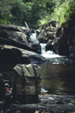 Orman doğal şelale içinde yürümek