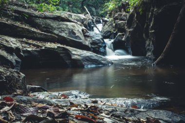 Orman doğal şelale içinde yürümek