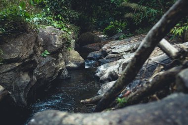 Orman doğal şelale içinde yürümek
