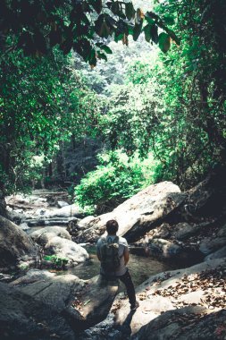 seyahat adam ormanda doğal suda yürüme