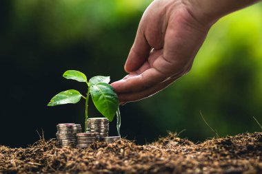 Meyve ağaçları büyüme tutku Ekim ve sulama doğa ışık ve arka plan el