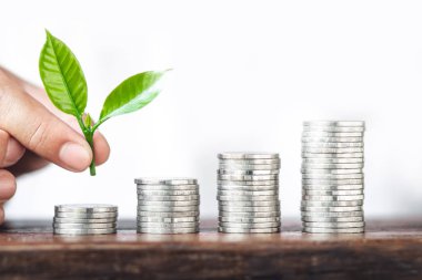 Para büyüme sikke gümüş ve genç el ve beyaz arka plan