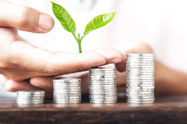 Para büyüme sikke gümüş ve genç el ve beyaz arka plan