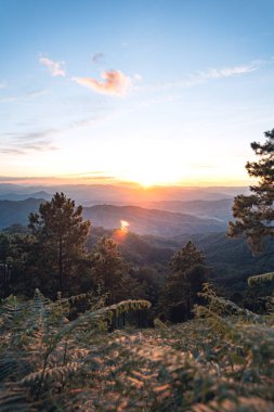 Gün batımı ve alacakaranlık dağdaki ormanda