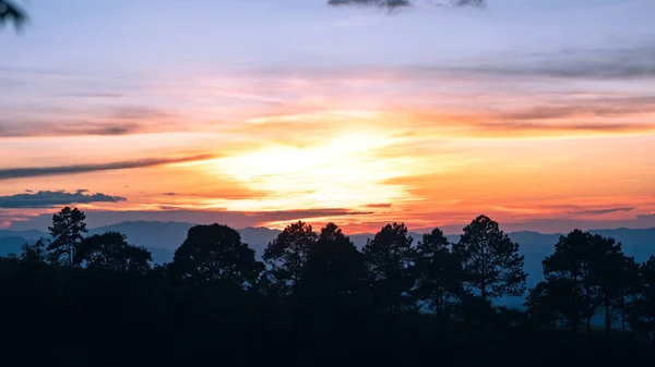 Tramonto e luce crepuscolare nella foresta sulla montagna — Foto Stock