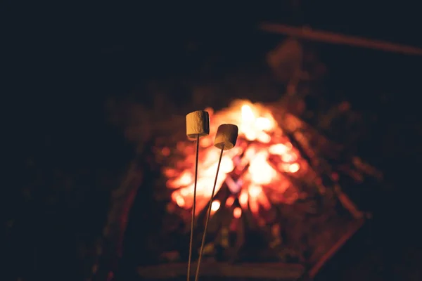 Ogień - ognisko w ogrodzie - Camping i namioty — Zdjęcie stockowe