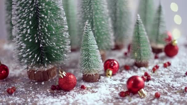 Weihnachten - Weihnachtsschmuck - Tannenzapfen und Zweige auf dem Schnee — Stockvideo