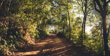 manzara dağları ormanlar akşam gökyüzü