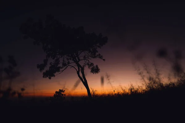 Krajina hory lesy nebe ve večerních hodinách — Stock fotografie