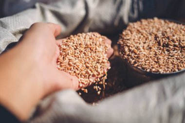 Pazardaki torbada bir sürü pirinç tohumu var.