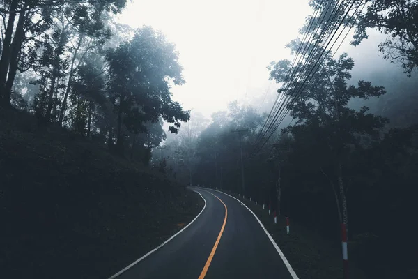 Φύση, ομίχλη και δέντρα το πρωί — Φωτογραφία Αρχείου