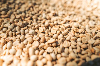 Kurutulmuş kahve çekirdekleri Kahve yapma süreci