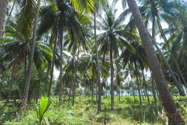 Akşamları deniz ve sahil, deniz manzarası ve akşam kumsalı.