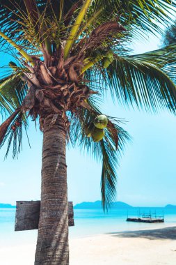 Adada temiz su, açık mavi deniz ve ahşap tekne.