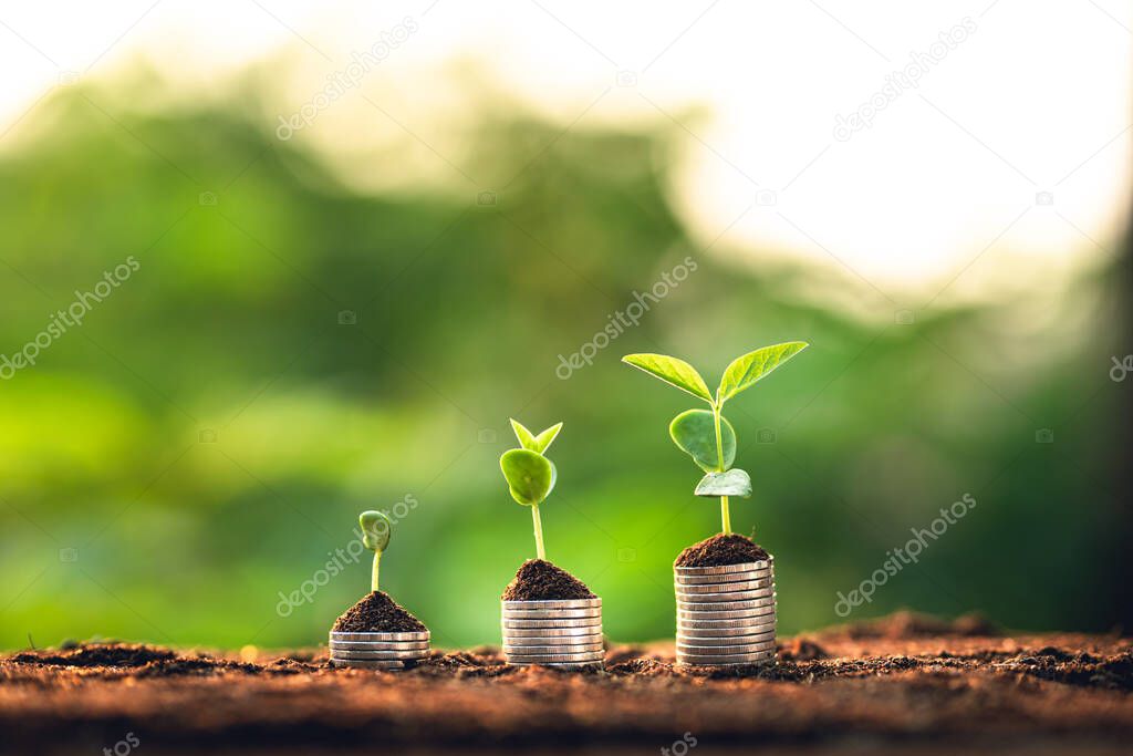 Tree growth-Three saplings are growing on the soil and a natural green background,And hand watering