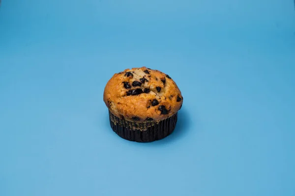 蓝色背景的美味巧克力片松饼 — 图库照片