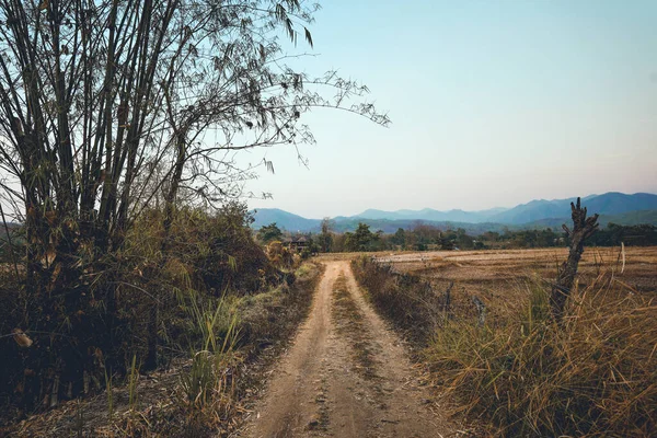 Arid Fields Evening Countryside — Stock Photo, Image