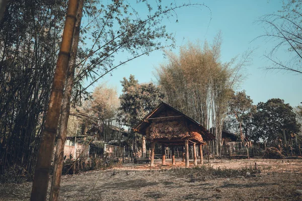 Ферма Амбар Хранится Изготовлен Дерева Сельской Местности Аси — стоковое фото