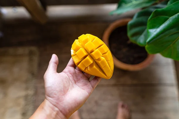 Close Mangoes Leaf Table — Stock Photo, Image