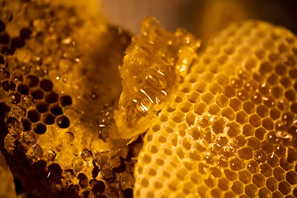 Close Honeycomb Beehive Néctar Abelha Amarelo Dourado — Fotografia de Stock