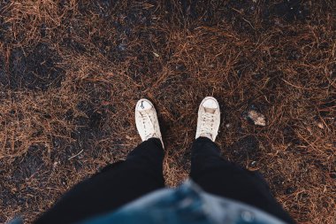 Yağmurlu bir akşamda, orman dağlarında ve ağaçlarda