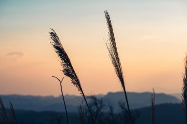 Akşamları günbatımı Dağı, Dağlar ve akşam güneşi