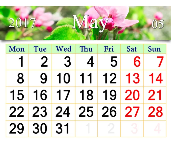 Calendrier pour mai 2017 avec pommier en fleurs — Photo