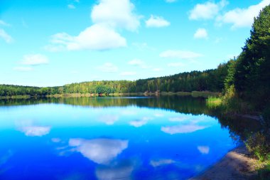 ormanda güzel göl ile manzara