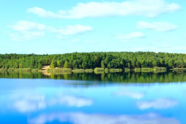 Ormandaki güzel göl