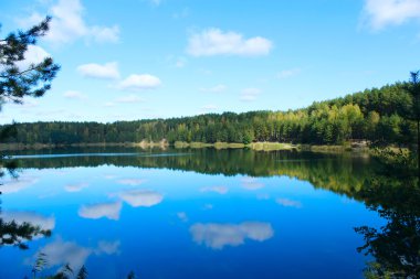 ormanda güzel göl ile manzara