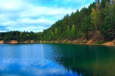 ormanda güzel göl ile manzara