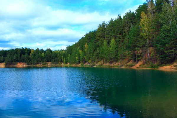 ormanda güzel göl ile manzara