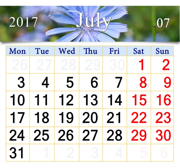 Kalendarz dla lipca 2016 z kwiatami Cichorium — Zdjęcie stockowe