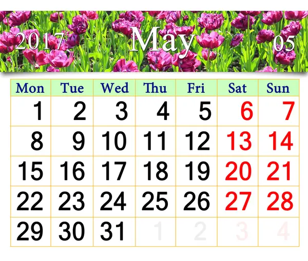 Календарь на май 2017 года с тюльпанами сирени на клумбе — стоковое фото