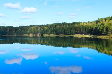 Ormandaki güzel göl