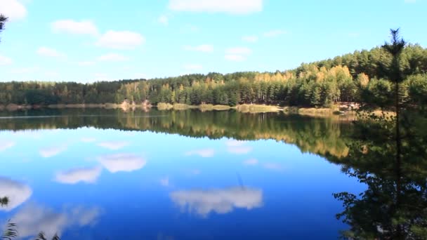 Bellissimo lago nella foresta — Video Stock