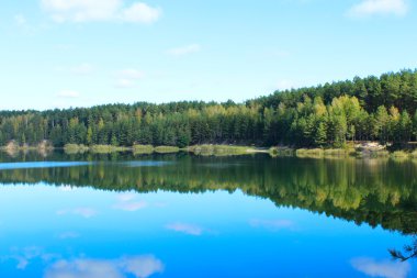 Ormandaki güzel göl