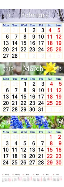 Kalender voor februari maart en April 2017 met gekleurde afbeeldingen van de natuur — Stockfoto